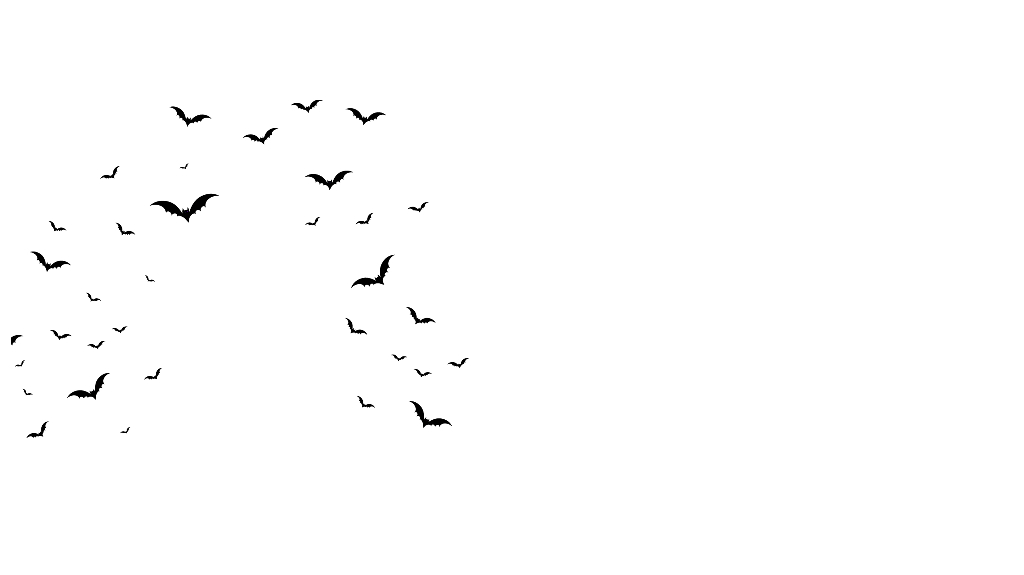 bats